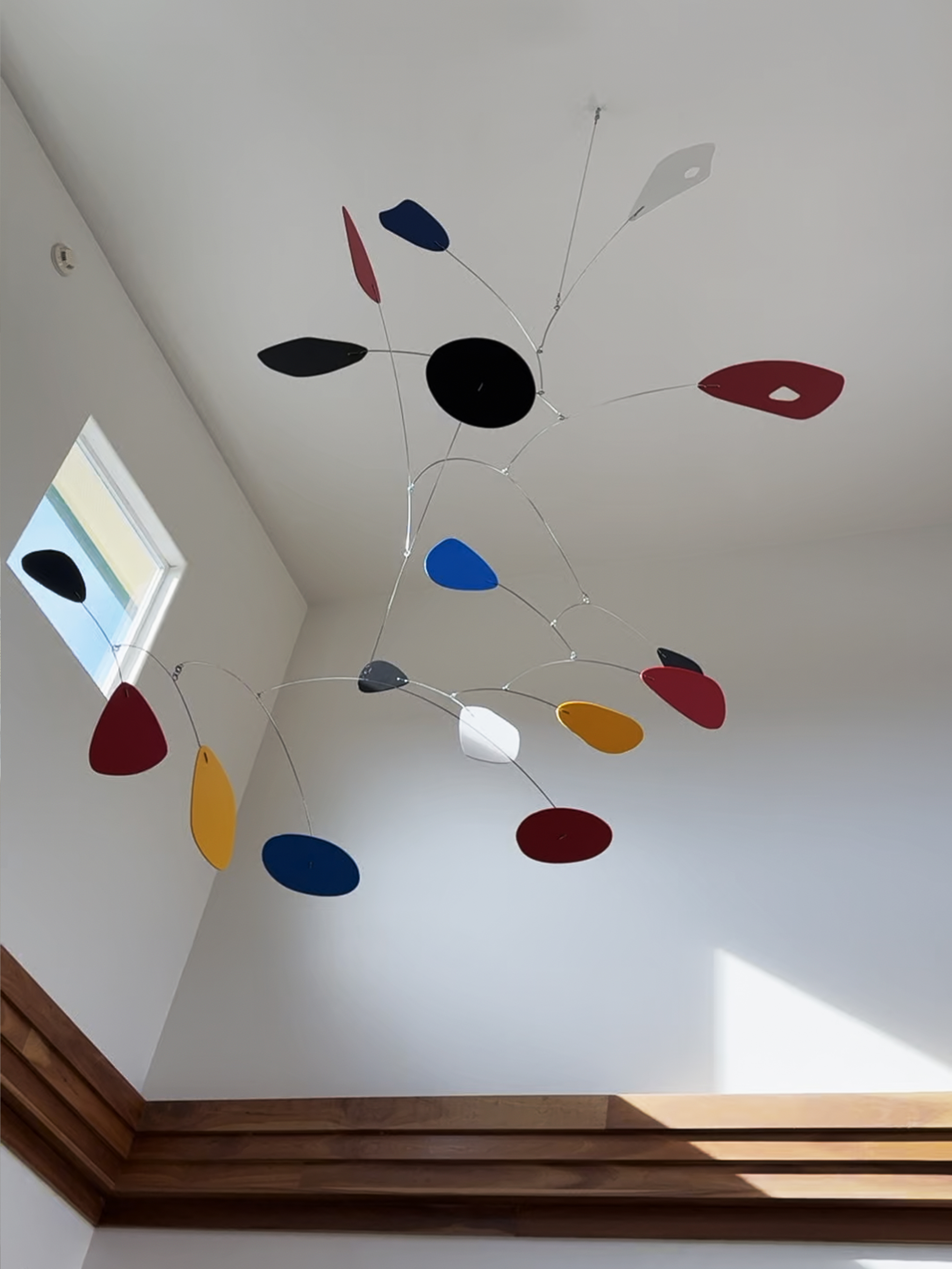 Custom 10'x7' Mobile at Redwood Podiatry Group, Eureka, CA